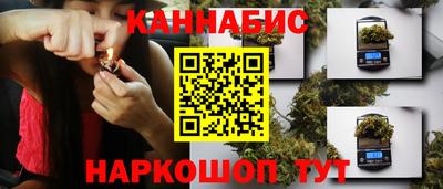 шишки Лесосибирск