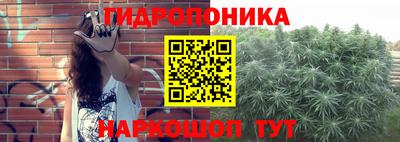 шишки Лесосибирск