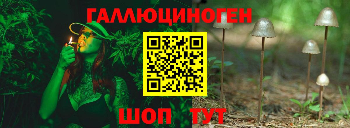 Псилоцибиновые грибы Psilocybe Энгельс